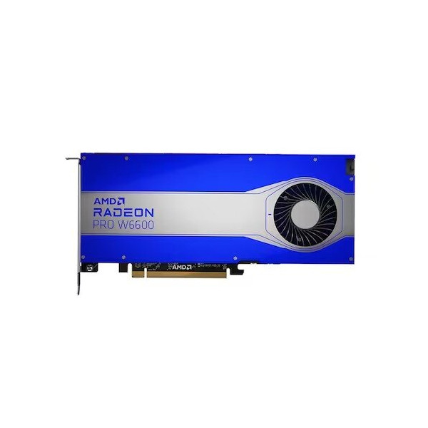 AMD 라데온 PRO W6600 D6 8GB 대원씨티에스 